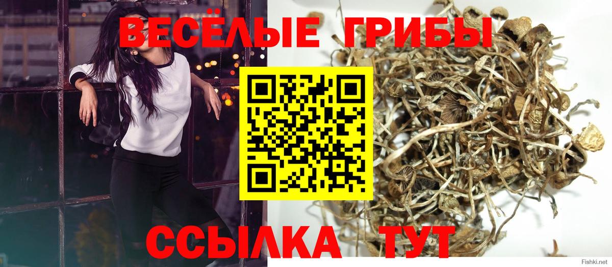 Псилоцибиновые грибы GOLDEN TEACHER Петрозаводск