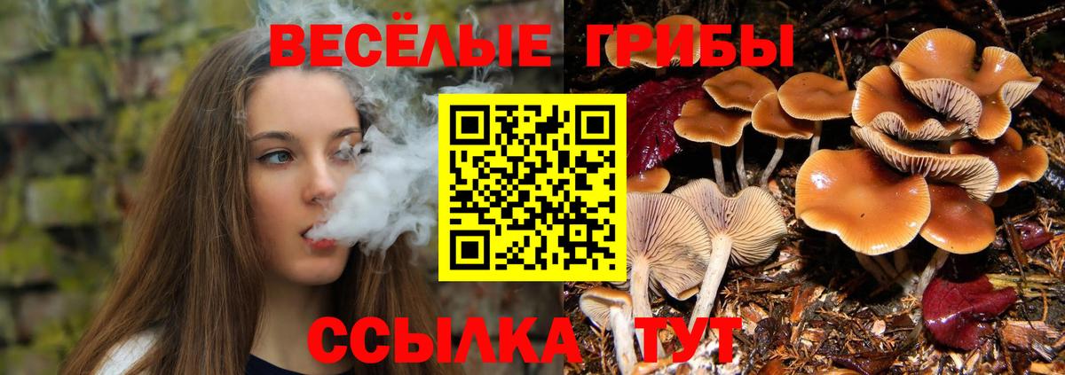 Псилоцибиновые грибы мицелий  Вход с VPN  Галлюциногенные грибы GOLDEN TEACHER  Петрозаводск 